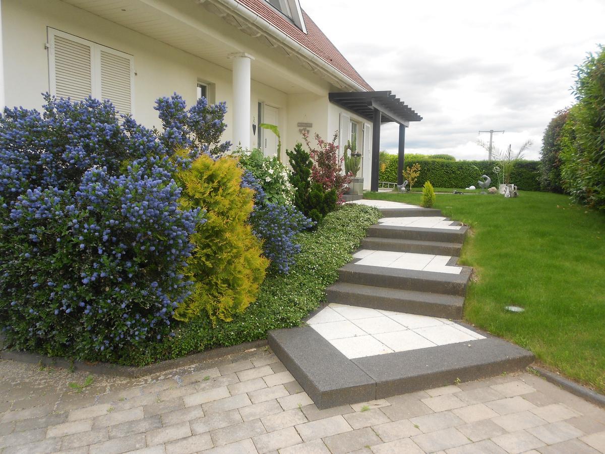 Au Coeur Du Vignoble Bed & Breakfast Orschwiller Luaran gambar