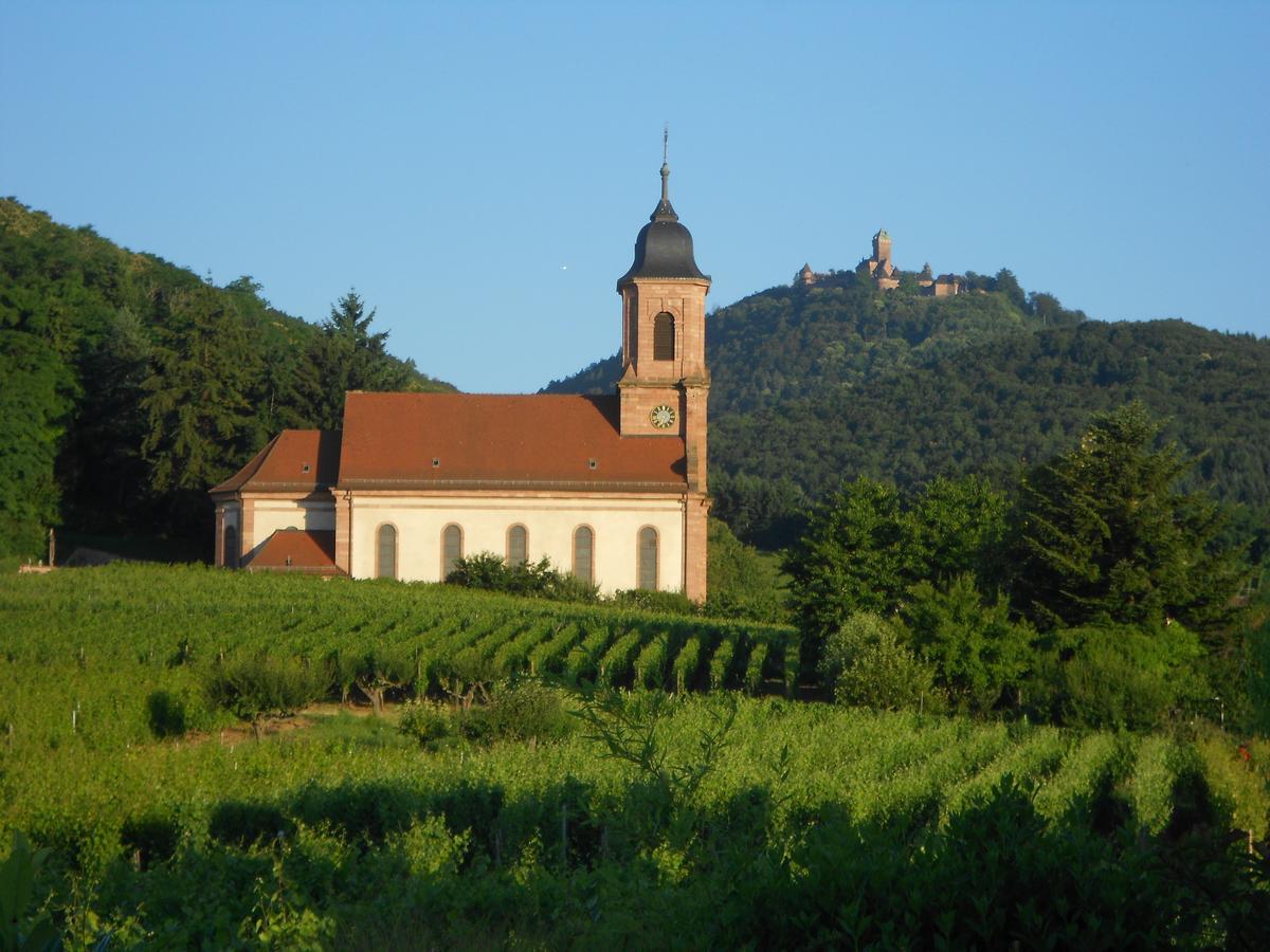 Au Coeur Du Vignoble Bed & Breakfast Orschwiller Luaran gambar